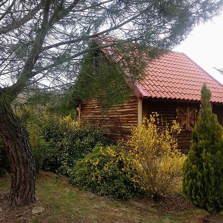 Gasthaus El Muerdago De Canada Cañada del Hoyo Exterior foto