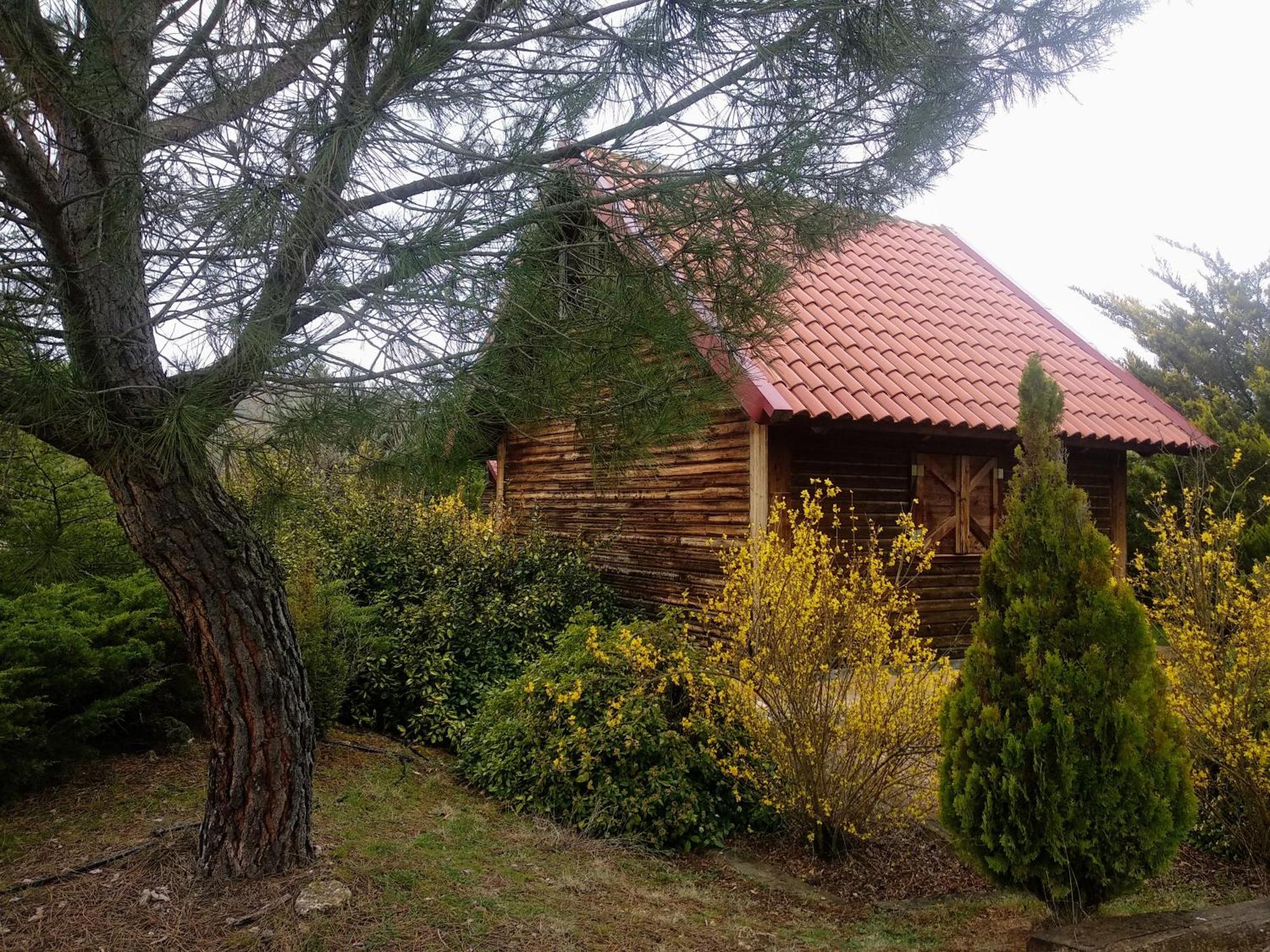Gasthaus El Muerdago De Canada Cañada del Hoyo Exterior foto